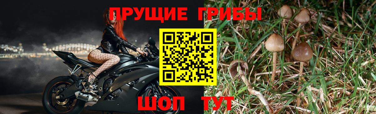 Псилоцибиновые грибы ЛСД Миасс